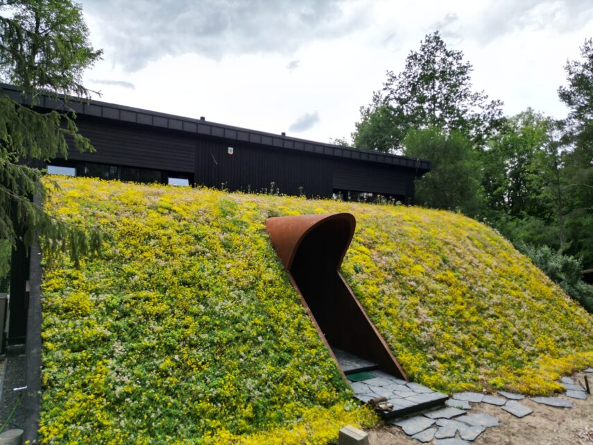 nietypowy dom architekt deska opalana elewacja boazeria zielony dach Latzke Pracownia Stolarska