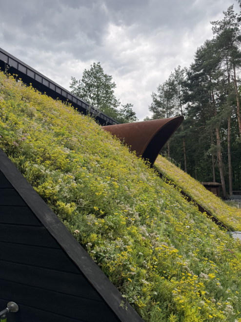 nietypowy dom architekt deska opalana elewacja boazeria zielony dach Latzke Pracownia Stolarska