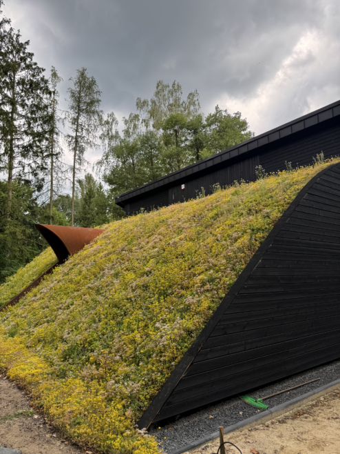 nietypowy dom architekt deska opalana elewacja boazeria zielony dach Latzke Pracownia Stolarska