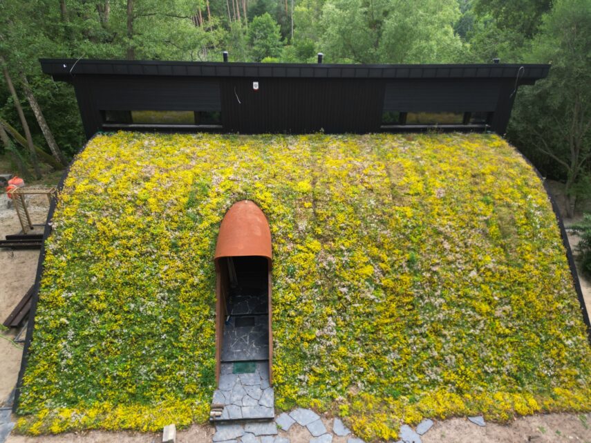 nietypowy dom architekt deska opalana elewacja boazeria zielony dach Latzke Pracownia Stolarska