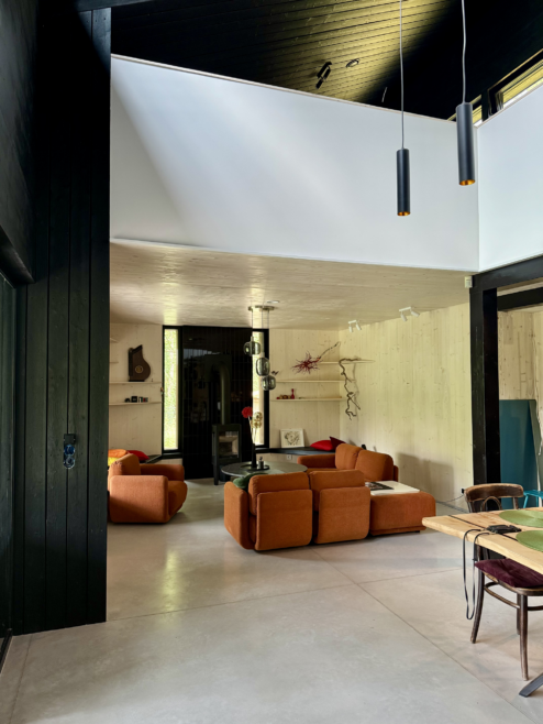 nietypowy dom architekt deska opalana elewacja boazeria zielony dach Latzke Pracownia Stolarska