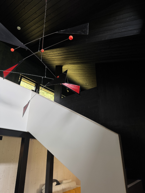 nietypowy dom architekt deska opalana elewacja boazeria zielony dach Latzke Pracownia Stolarska