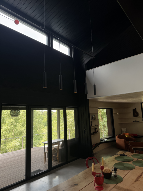 nietypowy dom architekt deska opalana elewacja boazeria zielony dach Latzke Pracownia Stolarska