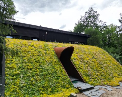 nietypowy dom architekt deska opalana elewacja boazeria zielony dach Latzke Pracownia Stolarska